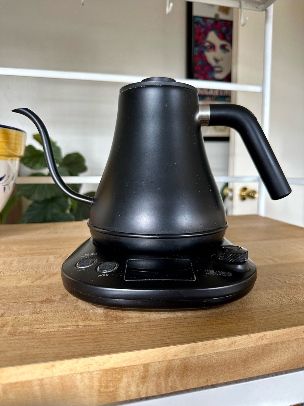 Electric Gooseneck Kettle